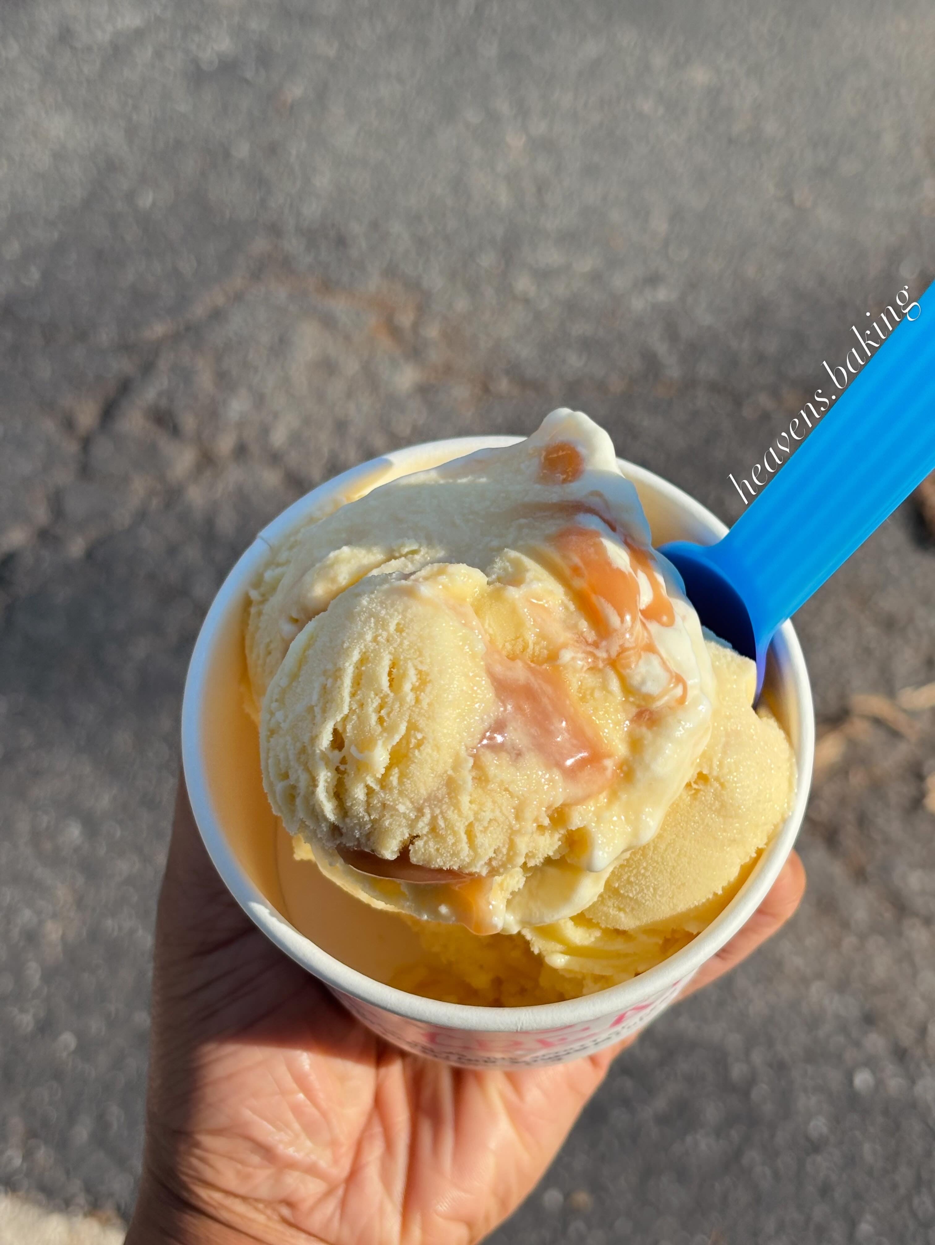 Homemade Ice Creams