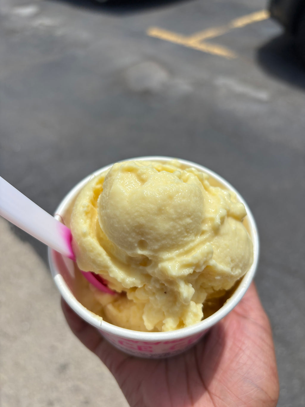 Homemade Ice Creams
